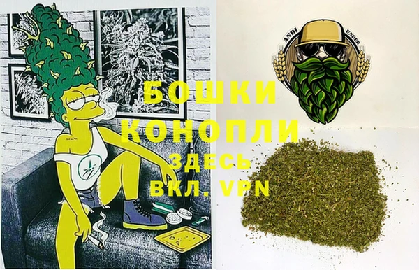 ешки Арсеньев