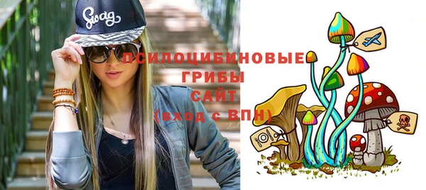 гидропоника Армянск