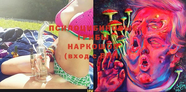 ешки Арсеньев